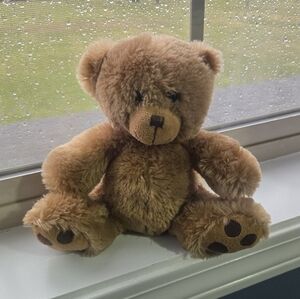 Brown Plush Teddy Bear